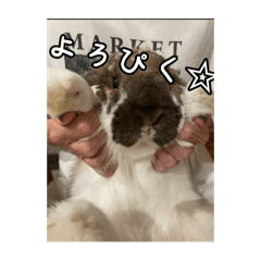 Rei_20250910074824