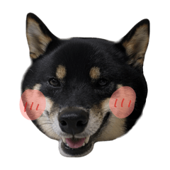 Obese child!_20250910003739