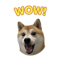 家吉