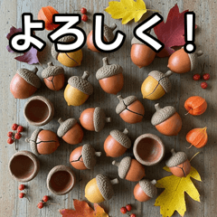 Autumn unglazed acorns