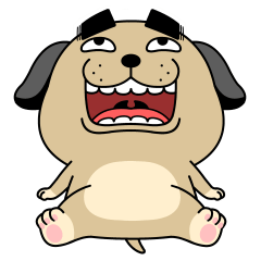 デカ動く 売れ残りわんこ