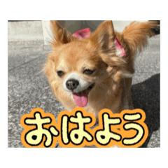 HANIKO_20250910214751