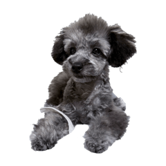 Chloe_20250910125520