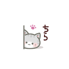 みにねこ。