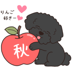 やさしいトイプードル『秋』