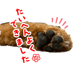 k_20250910030137