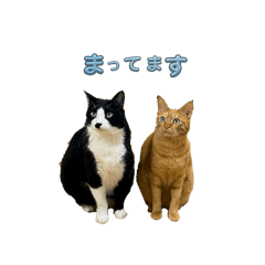 Sakura_20250910041359