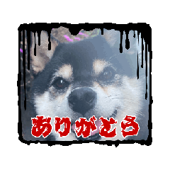 mayu!!