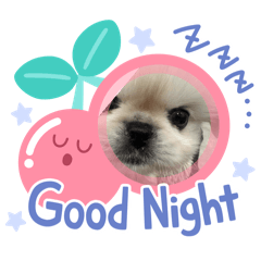 uniko_20250910141400