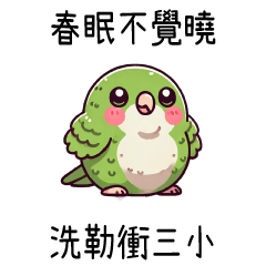 胖胖鸚鵡⭐春眠不覺曉 洗勒衝三小