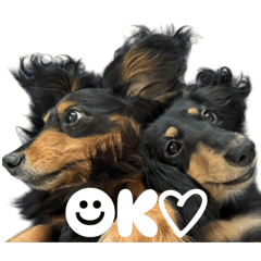 Yurina_20250910173739