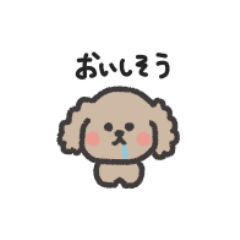 ◉ちっこい◉トイプードル