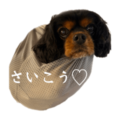 daily life.&nbsp; &nbsp;&nbsp; &nbsp;Rock