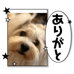 Yukari_20250910154714