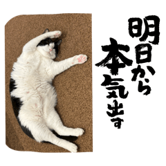 Nozomi_20250910183746