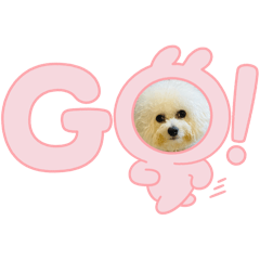 eriko_20250910153319