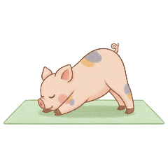 ポガのヨガ時間