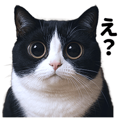 Funny Round Cat LINE Sticker Pack