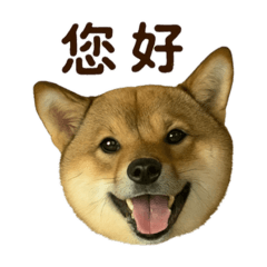 波奇の日常貼圖2