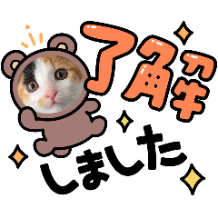 hanan_20250910200653