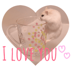 ハムスターのぼたさん Line スタンプ Line Store ハムスターのぼたさん Line スタンプ Line Store