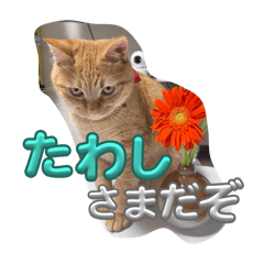 Misaki_20250910161903