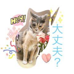 Junko_20250910112942