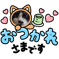 kaho_9/10
