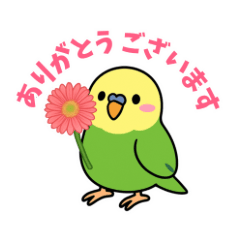 40 Adorable Parakeet Stickers