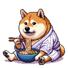 浴衣で夏の終わりな太っちょ柴犬