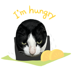 Numwan's starving!