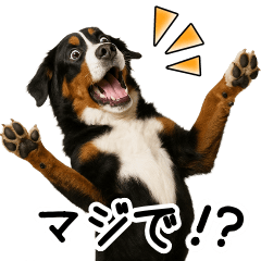 Bernese Mountain Dog Quick Replies