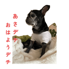 everyday koumeume