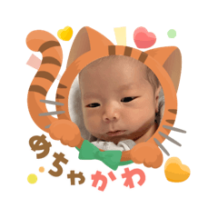 makototakahashi