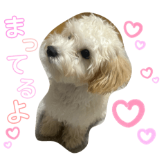 riho_20250910214944
