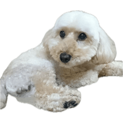 honita_20250911011001