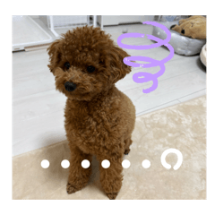 hannah_20250909205704