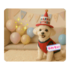 ahiru_20250910152320