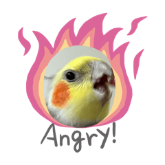 kinako_20250910213951