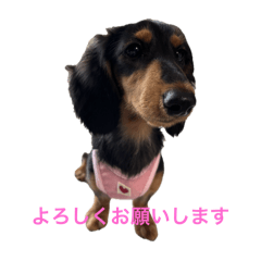 suichan_20250910230722