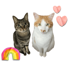 sachi_20250910225724