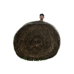 karin_20250909232629