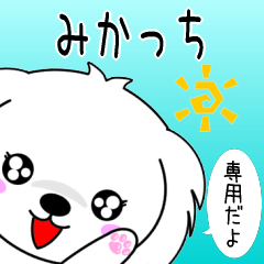 ♦️みかっち専用♦️使える名前スタンプ