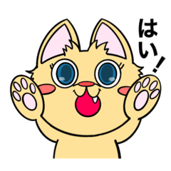 Ojako_20250910004932