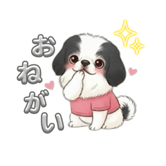 tomomi_20250910092053