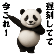 Dance Now/Giant Panda