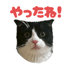 sarah_20250910193108