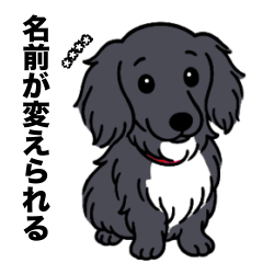 名前入りダックスロングブラックホワイト