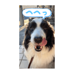 chapi_20250910233346