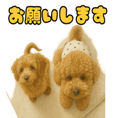 Tonkatsu & Sekihan Stickers